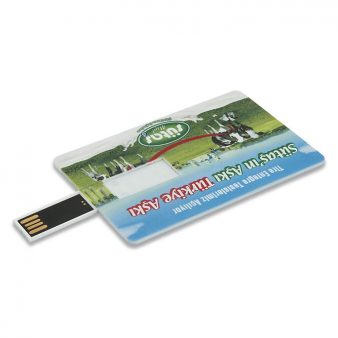 Promosyon Usb – 5